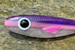 Guma spinningowa Great Fish Rocky Classic