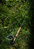 Wędka muchowa Mikado Fly MLX II Trout