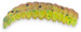 Guma Iron Trout Big Maja Bee Maggot Super Soft