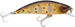 Wobler Berkley Dex Bullet Jerk