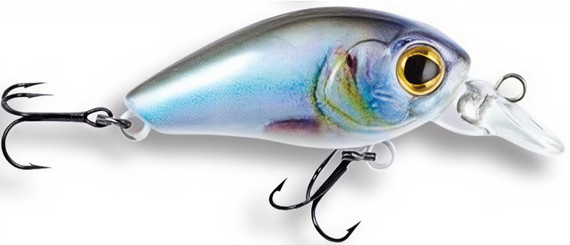 Wobler Robinson Arnie F35