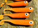 Guma spinningowa Great Fish GF1